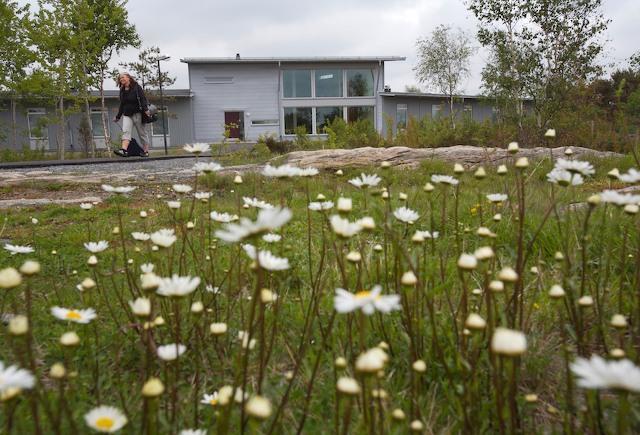 ホテルLoftadalens Folkhogskola オーサ エクステリア 写真